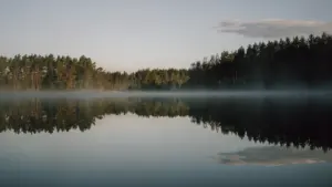 25. augusti päevahoroskoop: rahulikum tempo selgitab sihte