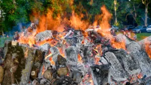 Lõke põleb intensiivselt Eestis, rõhutades vajadust olla tule tegemisel äärmiselt ettevaatlik ja tähelepanelik.