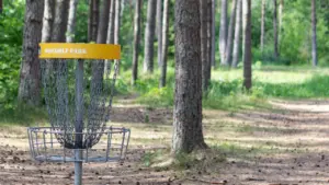 Kollane discgolfi korv metsas tähistab spordiala toimumiskohta Aravu mängude päeval.