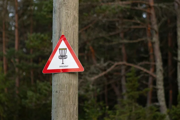Mängude päev Aravul: discgolf ja perepäev 20. augustil