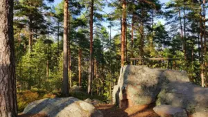 „Palmse kivid ja kohad“ viib Rakverest metsa 23. augustil