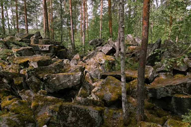 „Palmse kivid ja kohad“ viib Rakverest metsa 23. augustil