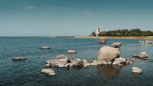 Perseiidid Eestis 2026: vaatluskoht vali enne 12. augustit