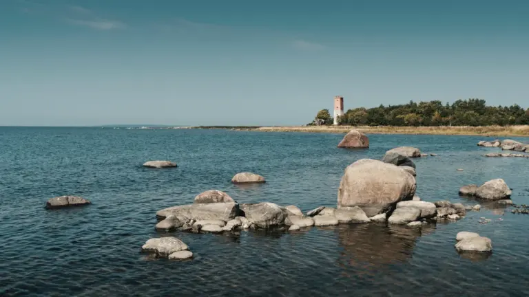 Perseiidid Eestis 2026: vaatluskoht vali enne 12. augustit