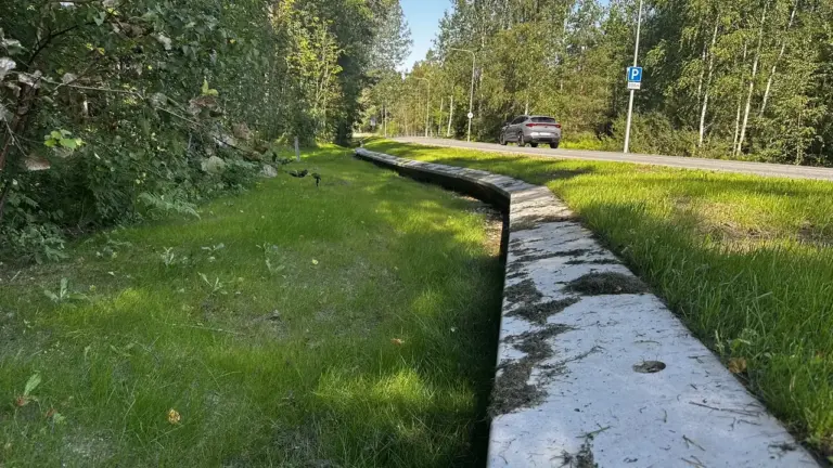 Tallinnas juhitakse väikeloomad liiklusest eemale