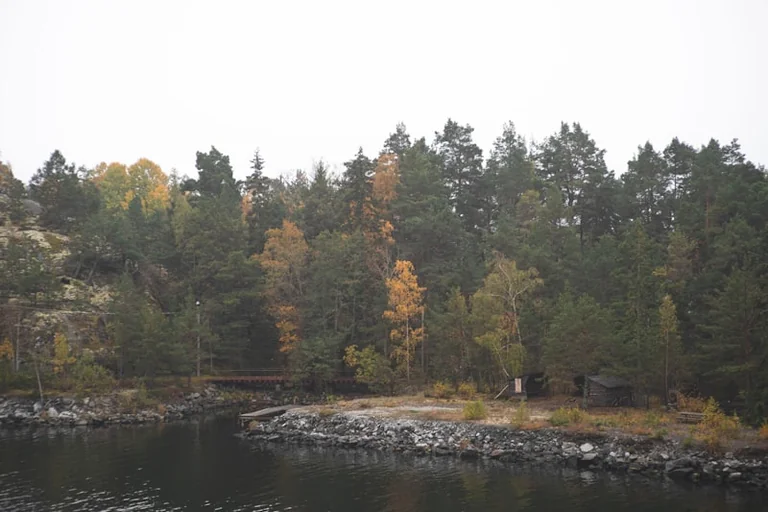 „Viimsi piirkonna väikesaared“: 11. septembril tasuta