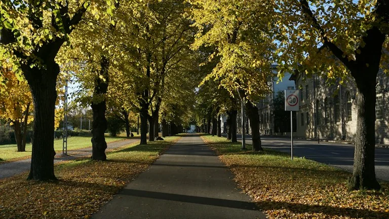 16. oktoober Eestis: sügis, koolivaheaeg ja rahvakalender
