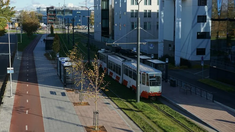 Auto või ühistransport Eestis: arvuta sõidu tegelik kulu